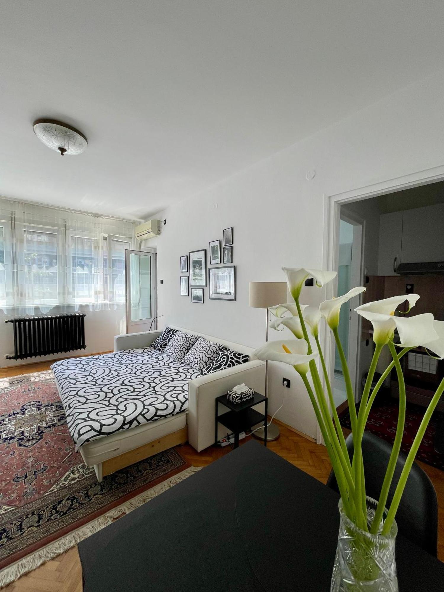 Apartment Mirochka Belgrado Buitenkant foto